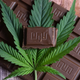 Illustration for article titled What Exactly Are Cannabidiol Edibles?em/em